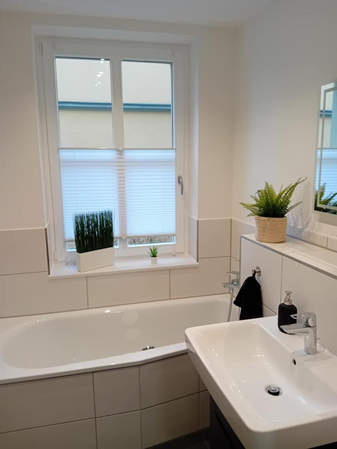Apartment In Sehr Guter Lage Dresden